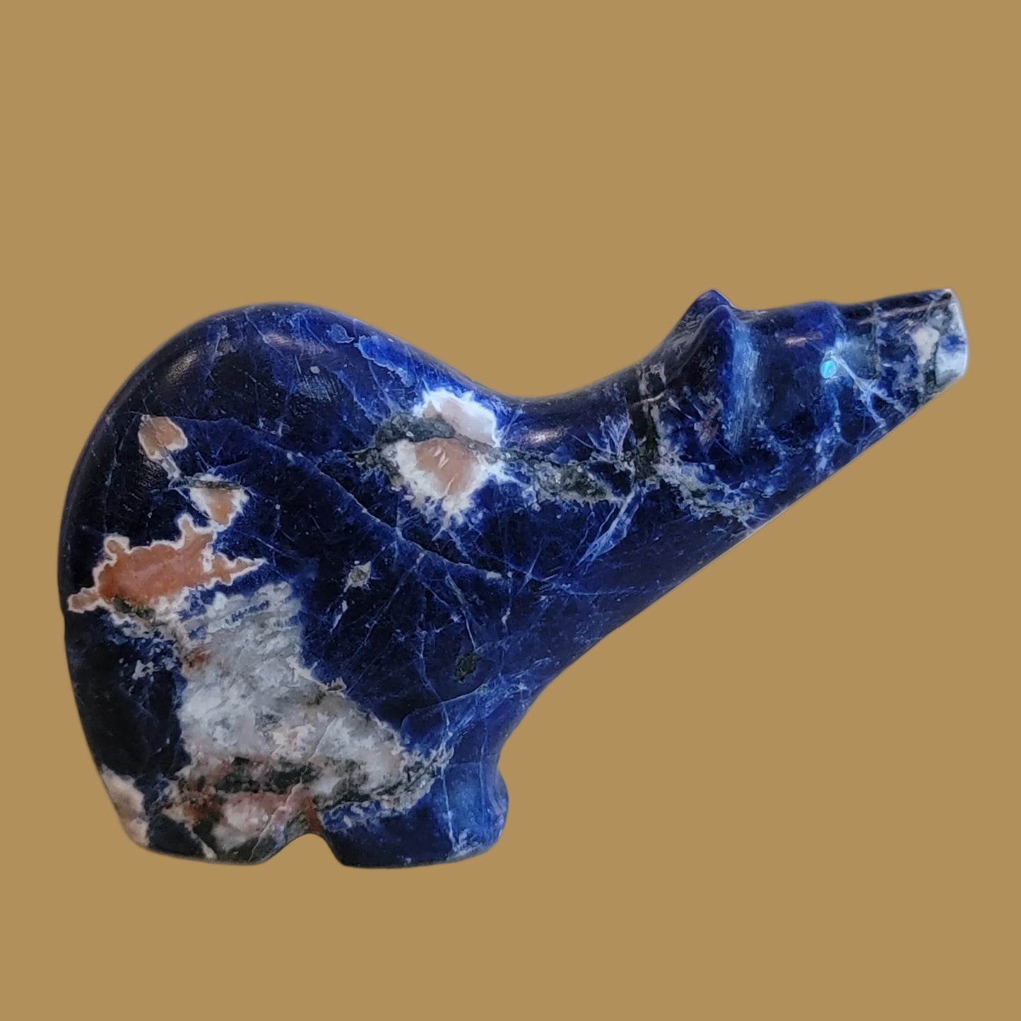Sunset Sodalite Star Gazing Medicine Bear Zuni Fetish