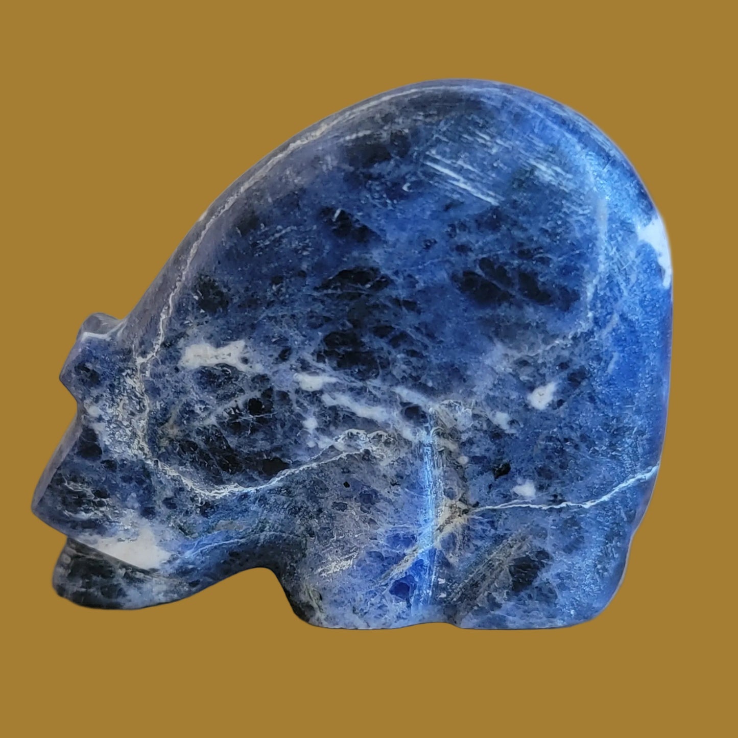 Sodalte Medicine Bear w/ Sterling Heartline Zuni Fetish