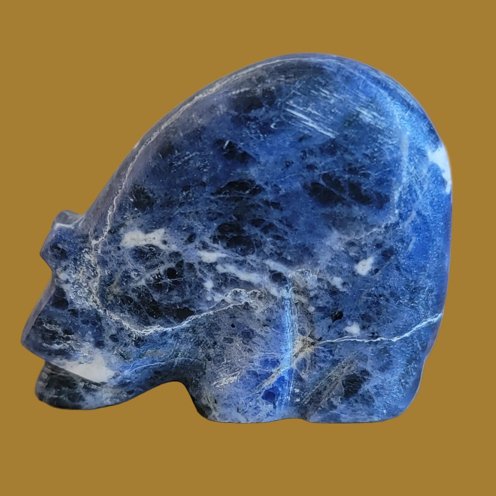 Sodalte Medicine Bear w/ Sterling Heartline Zuni Fetish