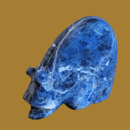 Sodalte Medicine Bear w/ Sterling Heartline Zuni Fetish
