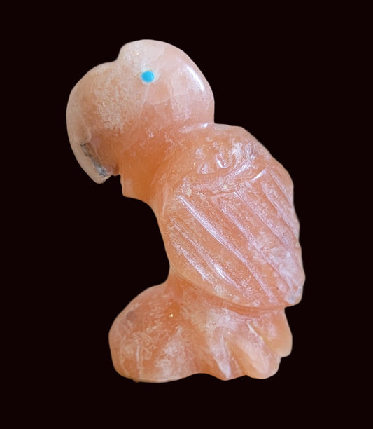 Orange Alabaster Parrot Zuni Fetish