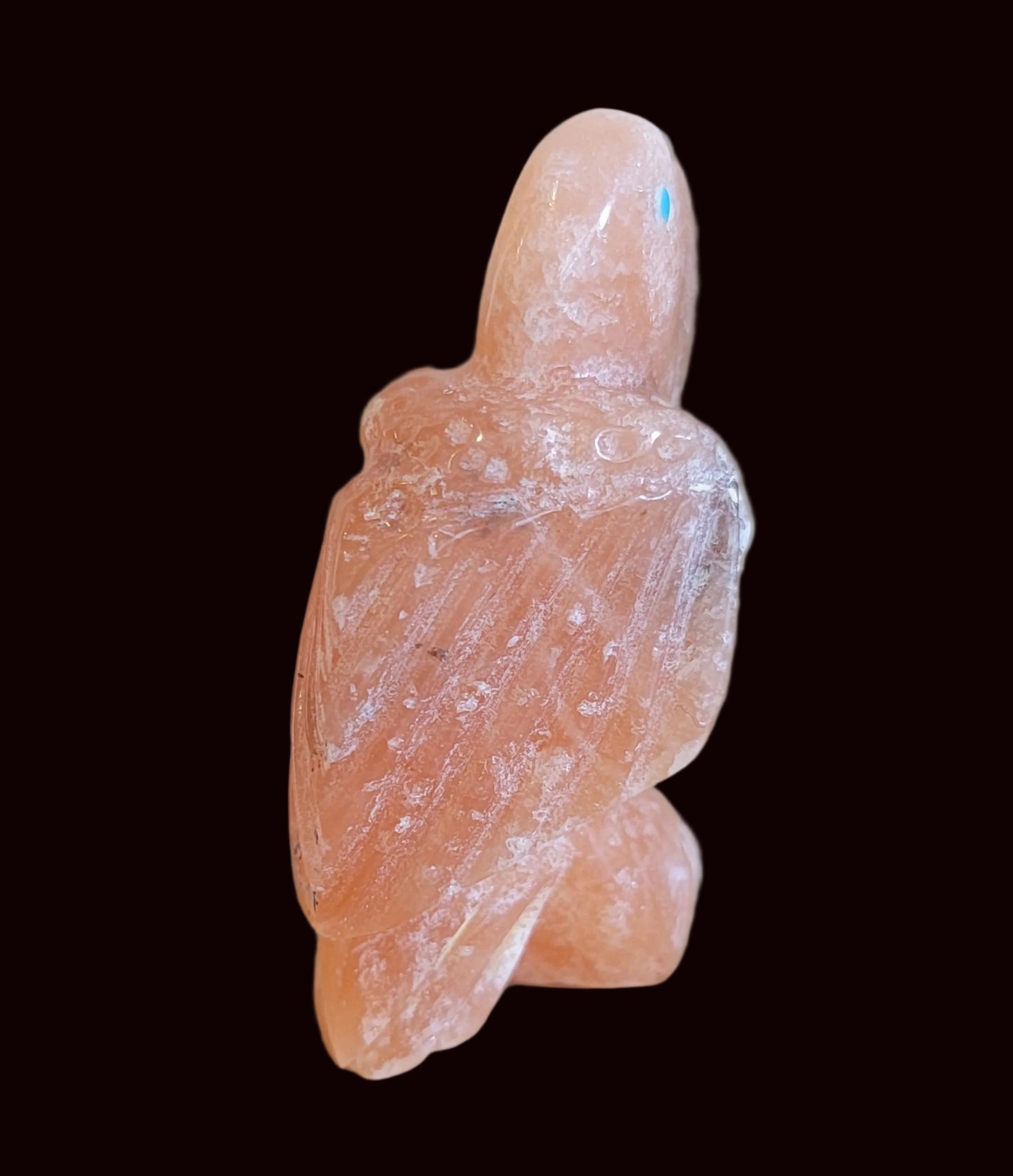 Orange Alabaster Parrot Zuni Fetish