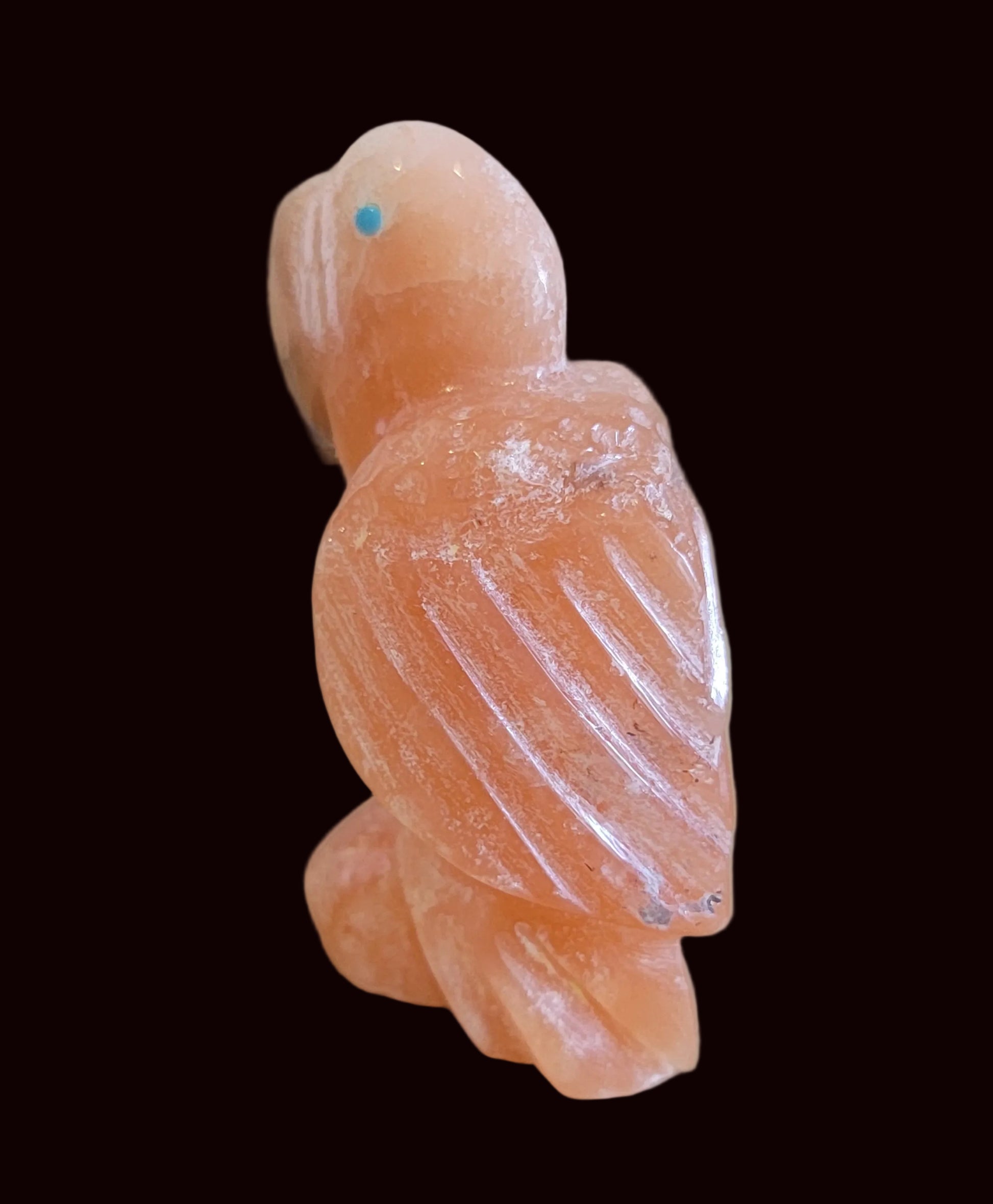 Orange Alabaster Parrot Zuni Fetish