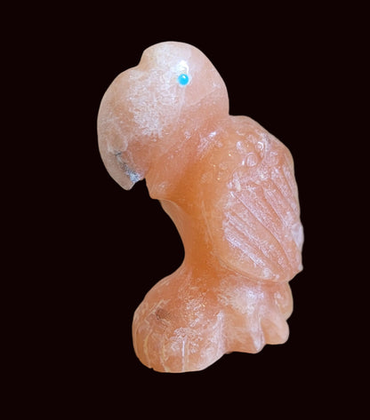 Orange Alabaster Parrot Zuni Fetish