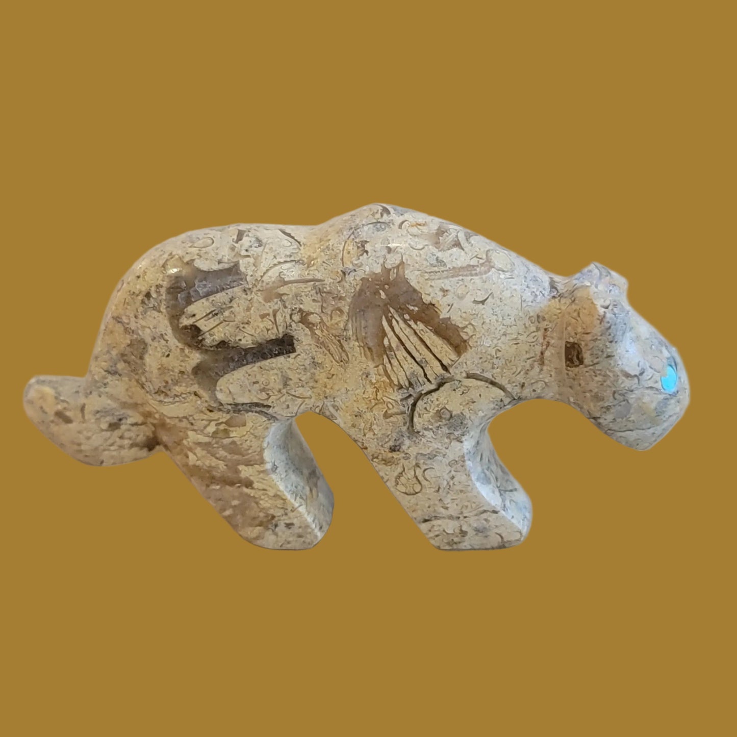 Fossil Shell Mountain Lion w/ Heartline Zuni Fetish