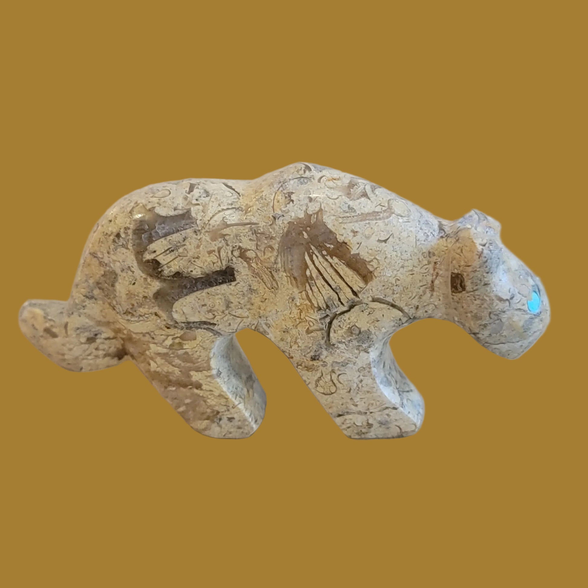 Fossil Shell Mountain Lion w/ Heartline Zuni Fetish