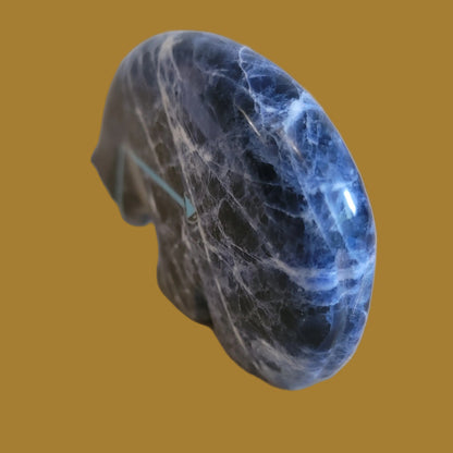 Powerful Sodalite Medicine Bear w/Heartline Zuni Fetish