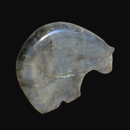 Extraterrestrial Labradorite Medicine Bear Zuni Fetish