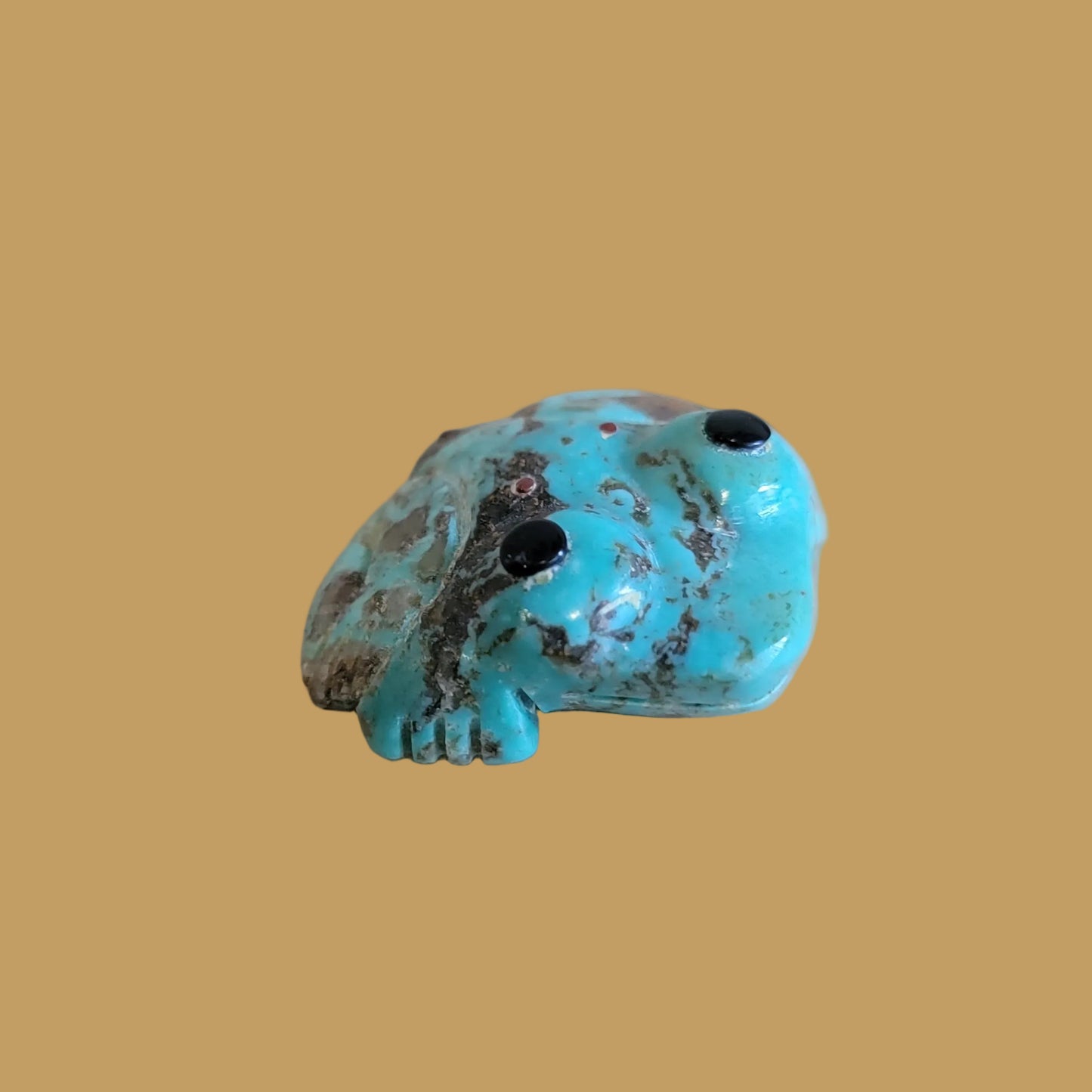 Turquoise Toad w/Big Eyes Zuni Fetish