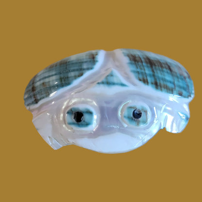 Green Snail Shell Frog/ Toad Zuni Fetish