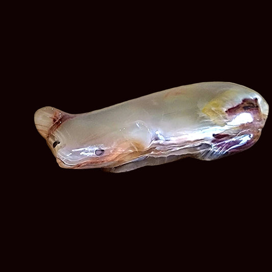 Pretty Onyx Badger Zuni Fetish