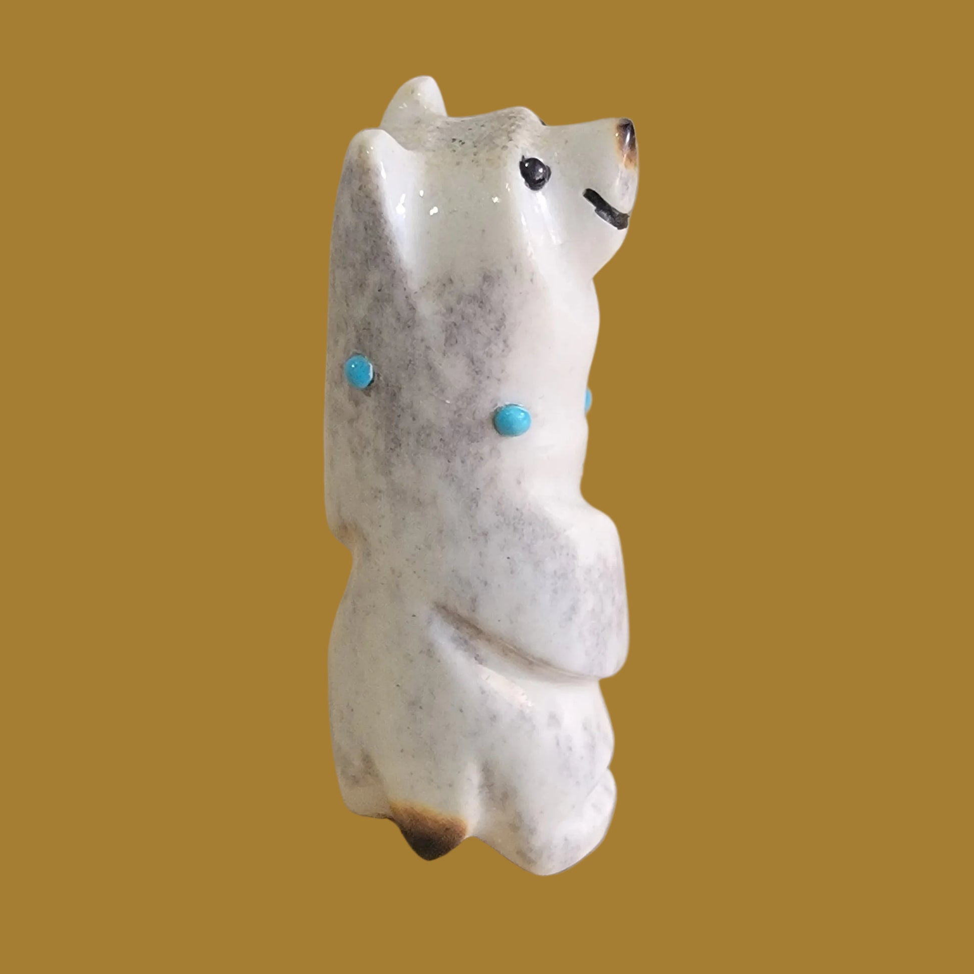 Contented Antler Bear Zuni Fetish