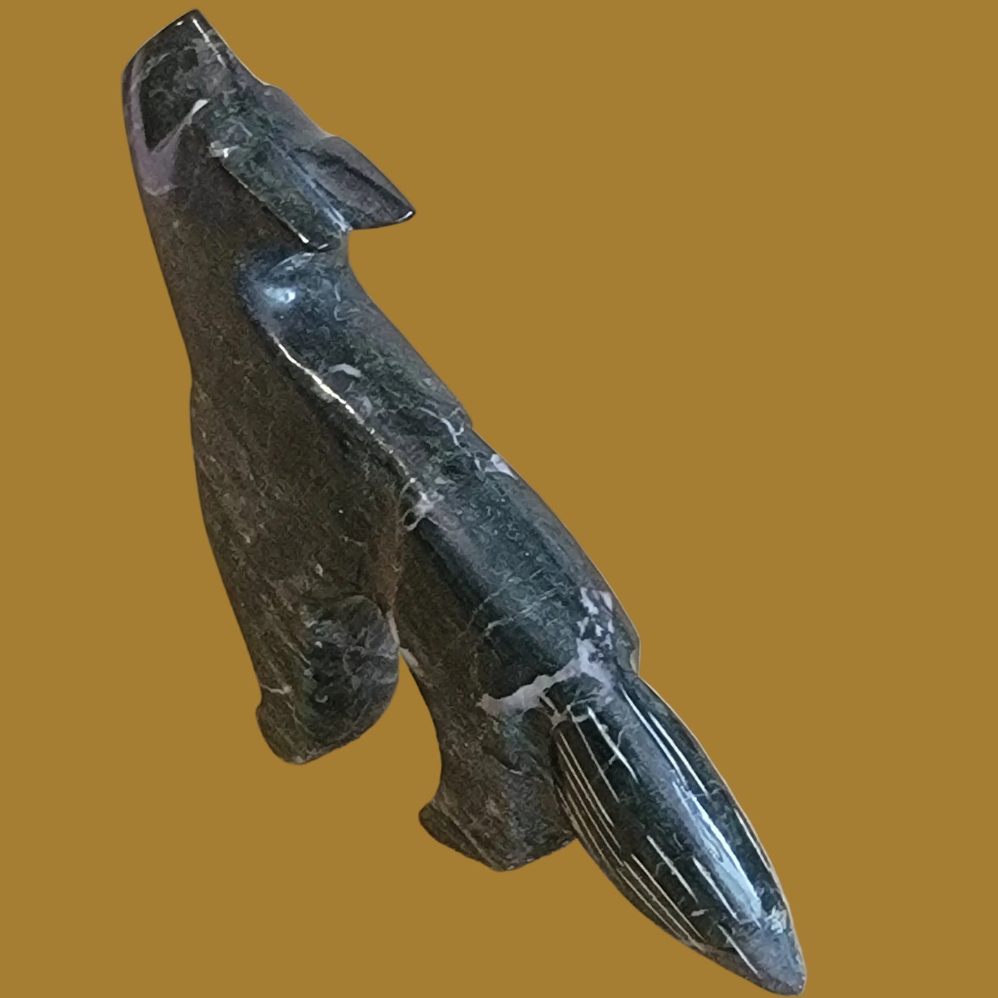 Marble Coyote w/ Heartline Zuni Fetish