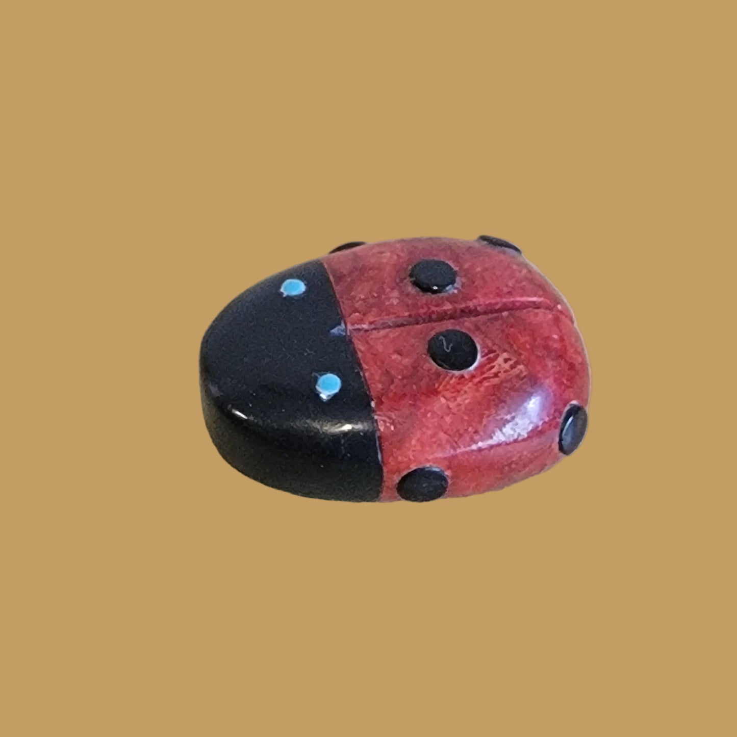 Lucky Apple Coral Ladybug Zuni Fetish