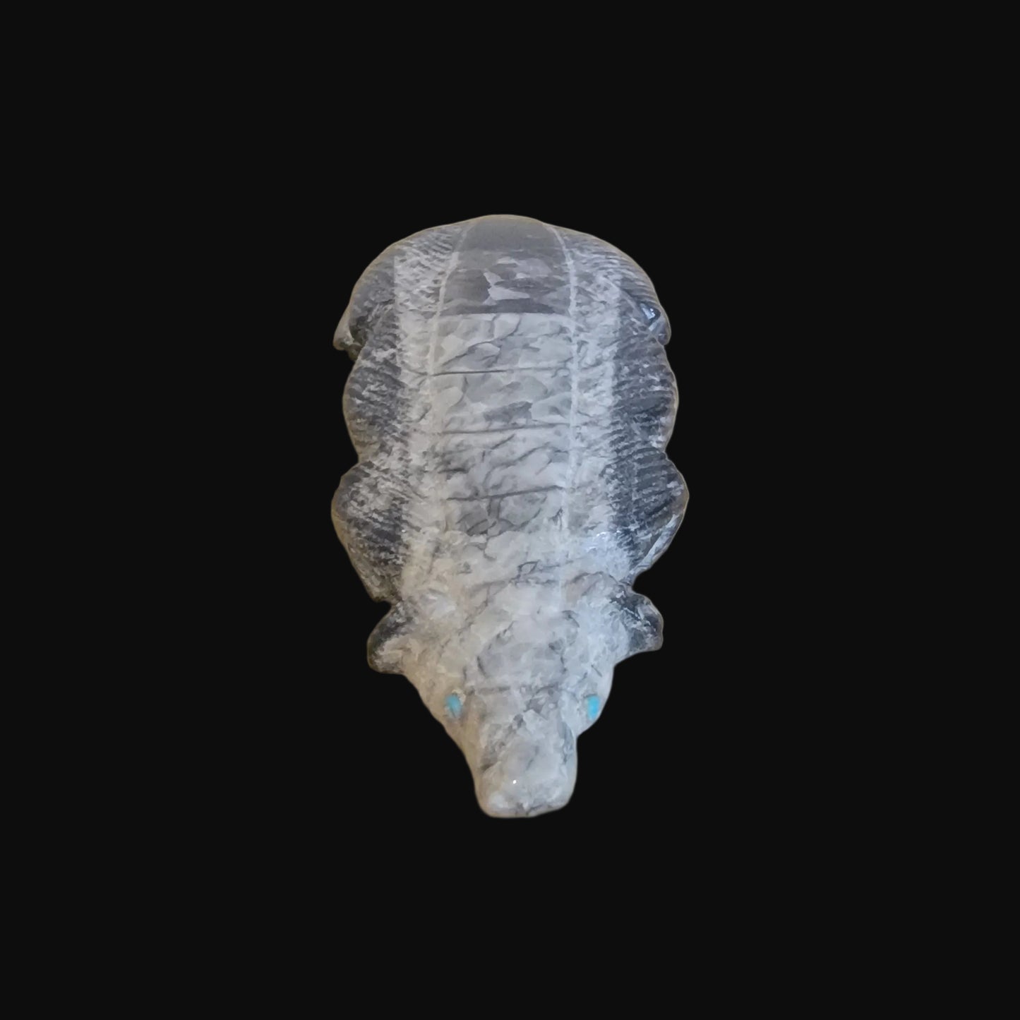 Ammonite Zuni Fetish Badger