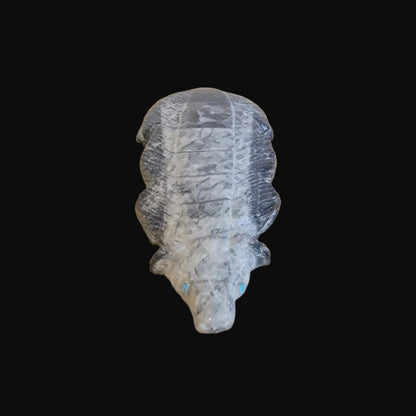 Ammonite Zuni Fetish Badger