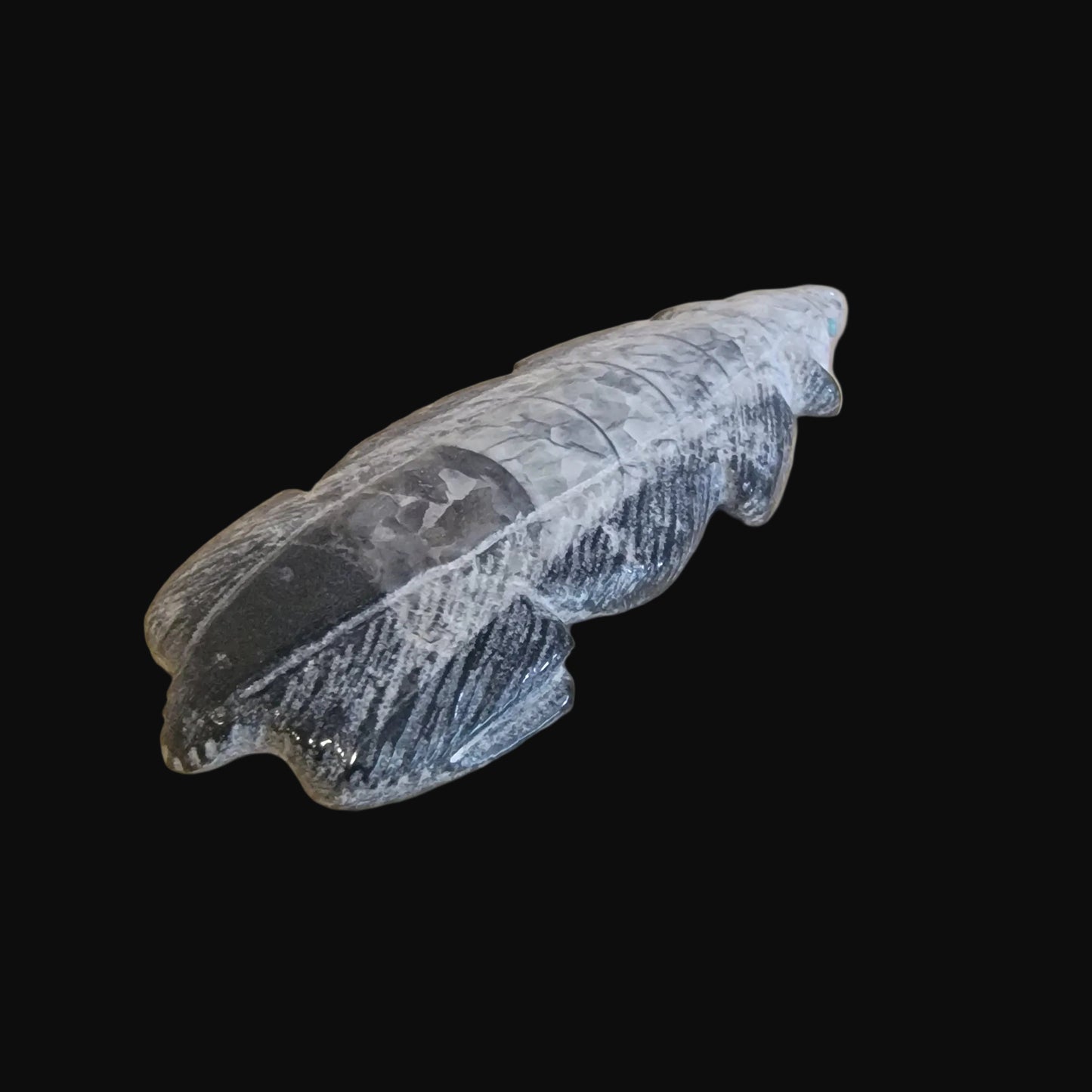 Ammonite Zuni Fetish Badger