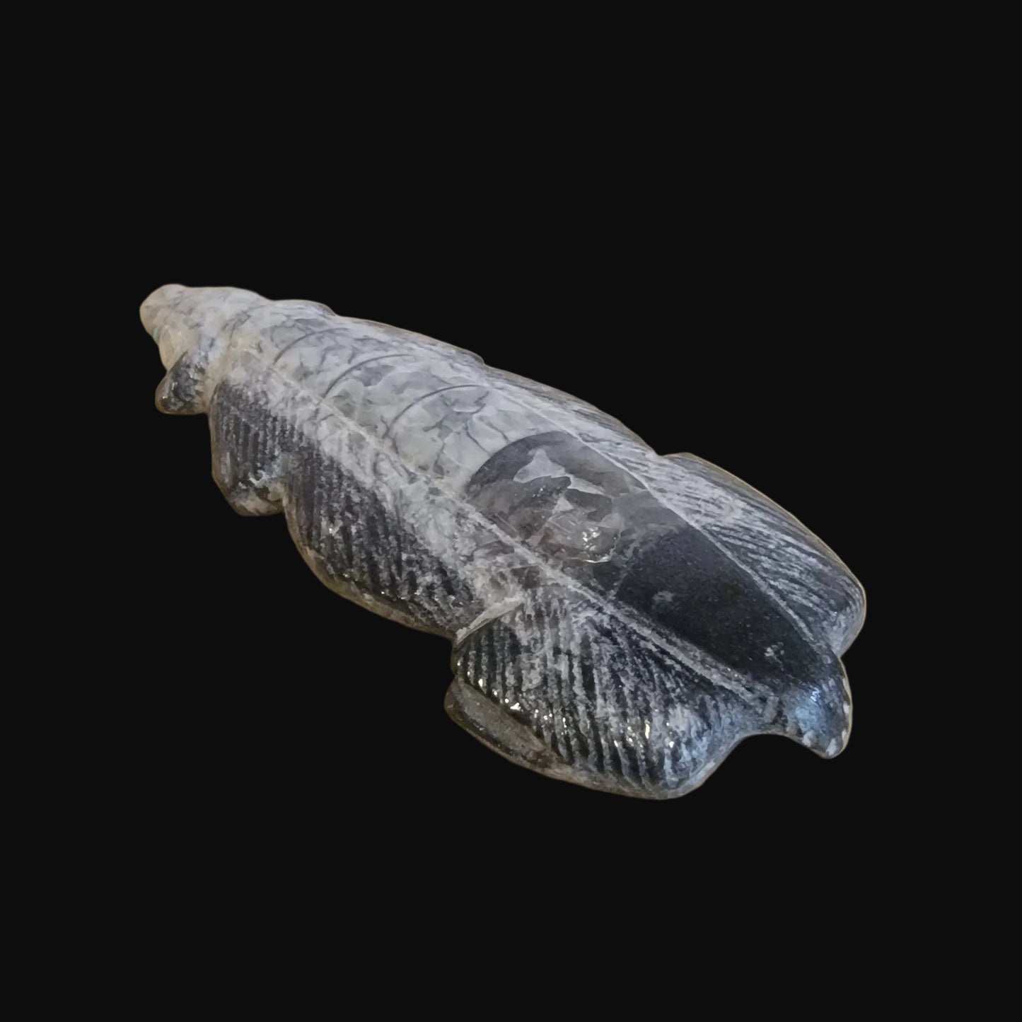 Ammonite Zuni Fetish Badger