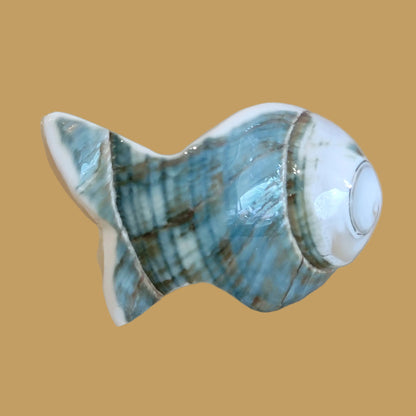 Green Snail Shell Zuni Fetish Fish