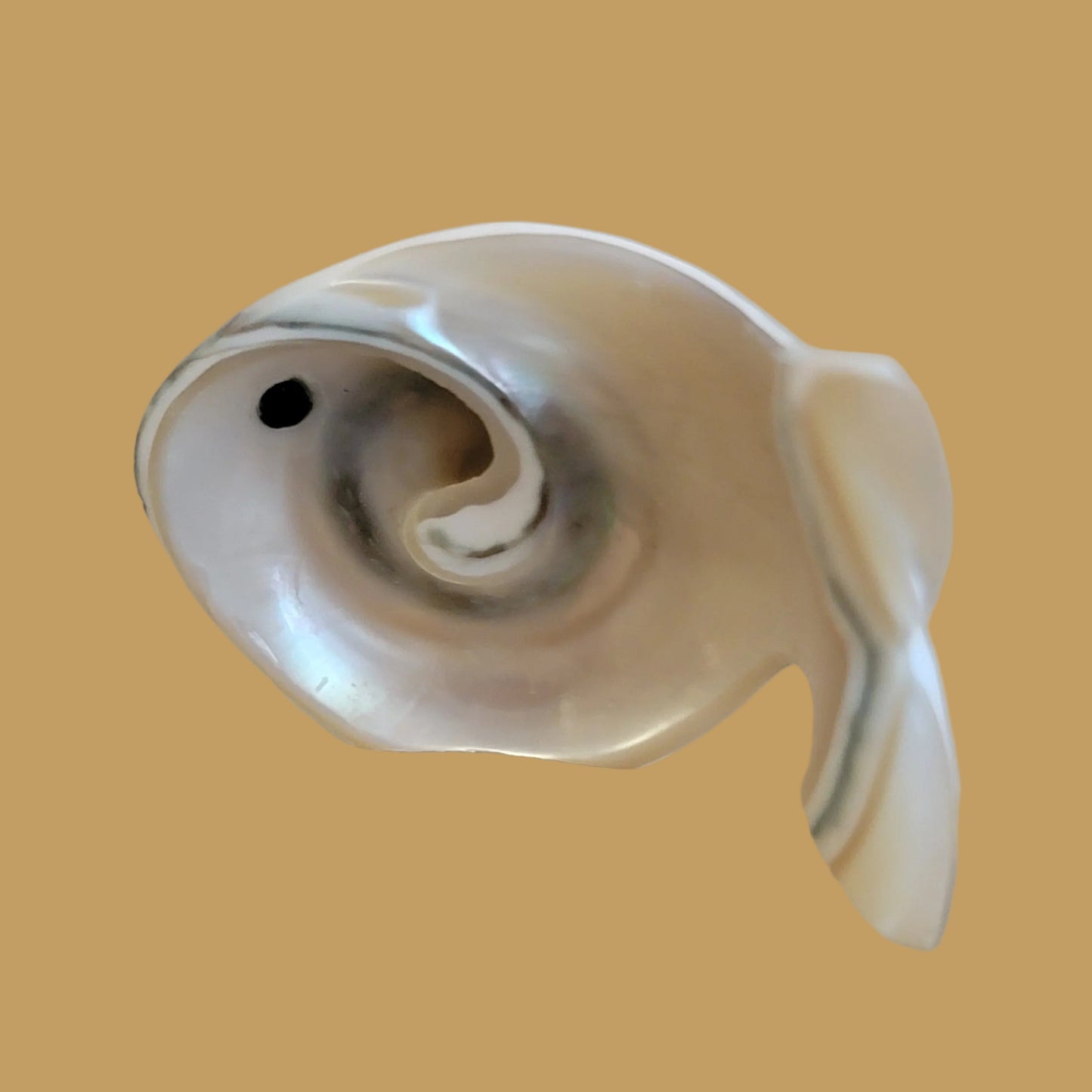 Green Snail Shell Zuni Fetish Fish