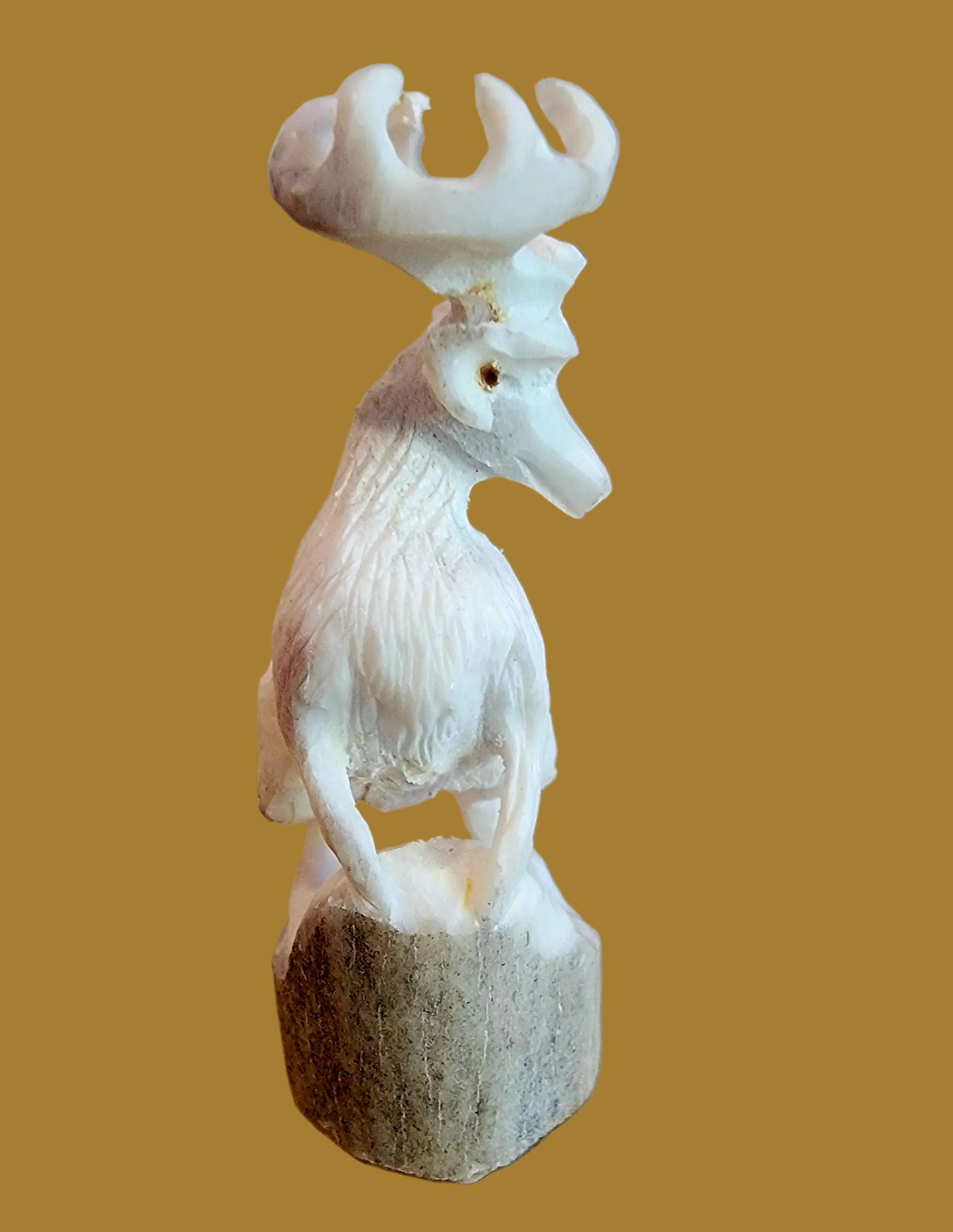 Antler Elk w/Fancy Rack Zuni Fetish