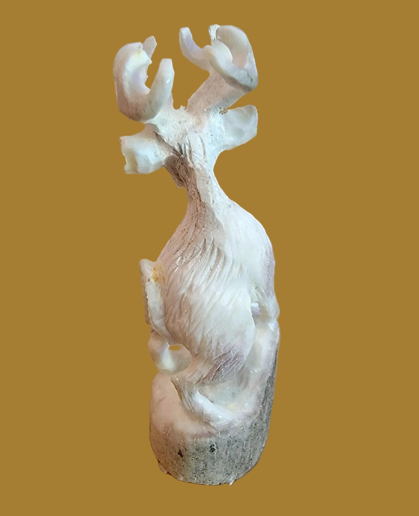 Antler Elk w/Fancy Rack Zuni Fetish