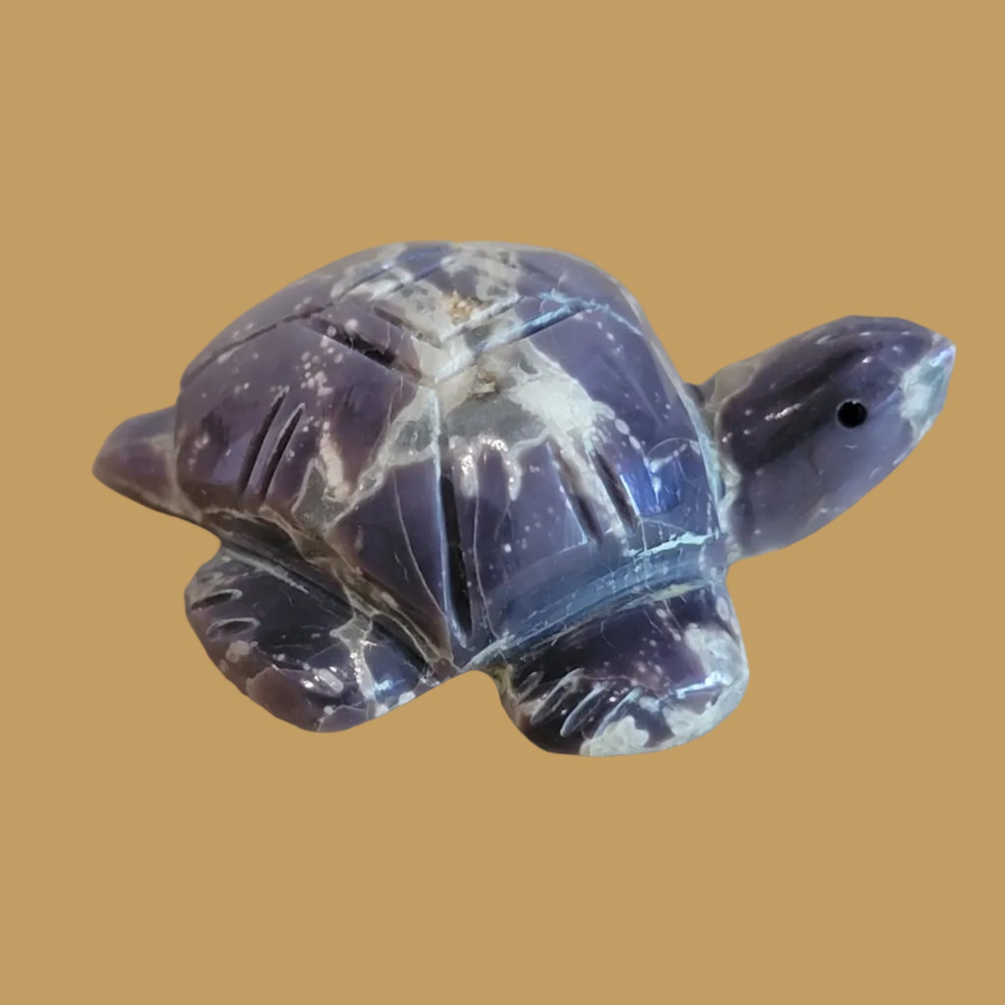 Violite Navajo Turtle Zuni Fetish