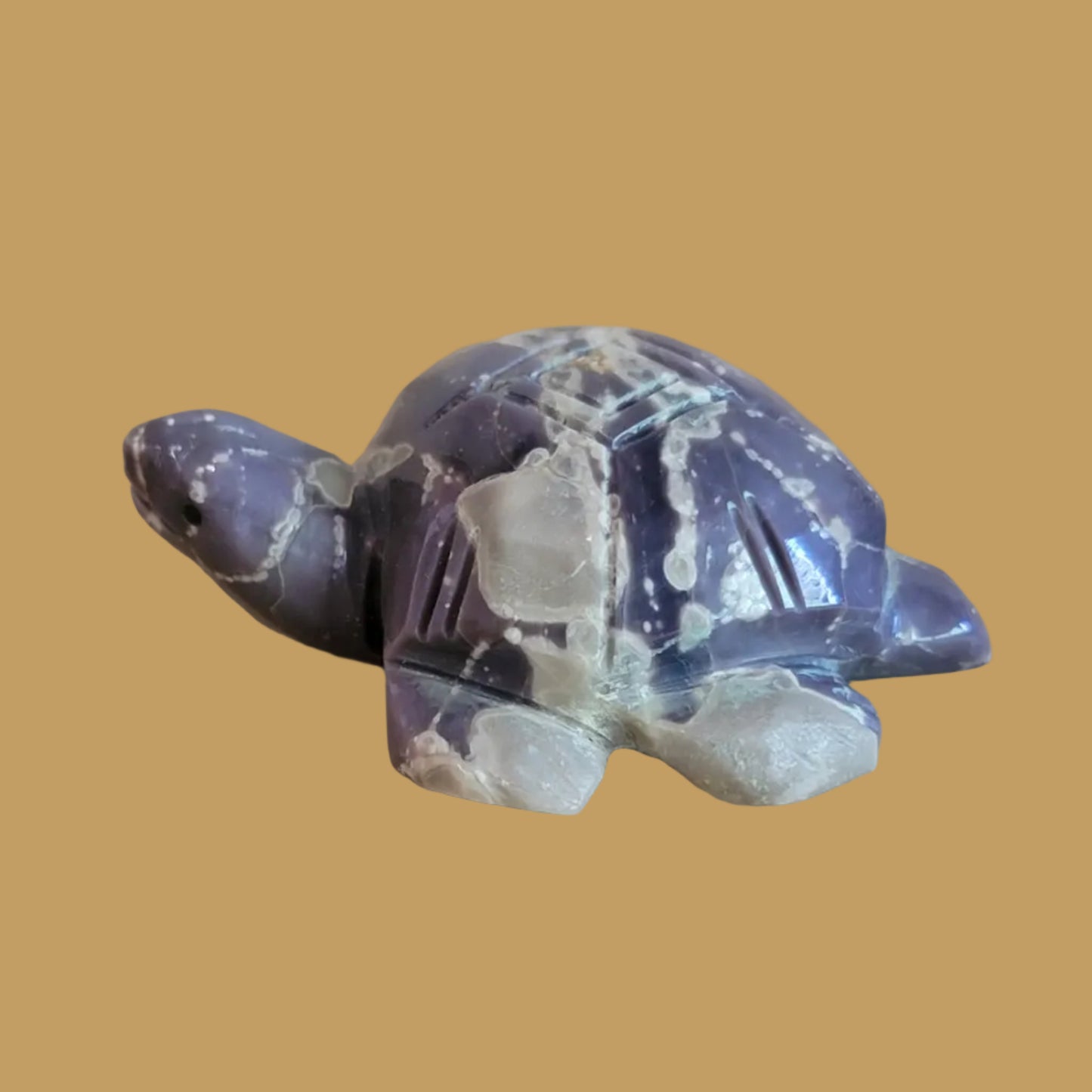 Violite Navajo Turtle Zuni Fetish
