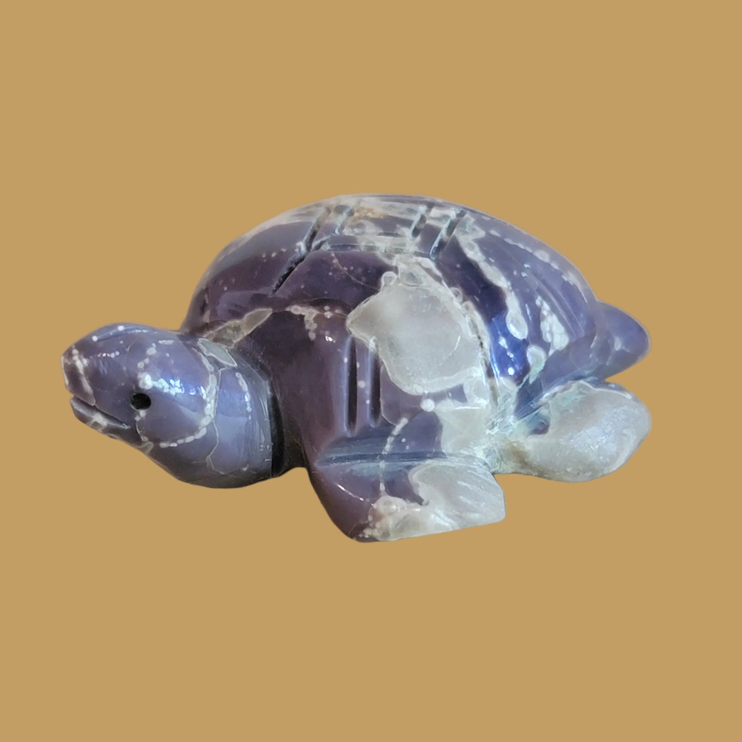 Violite Navajo Turtle Zuni Fetish