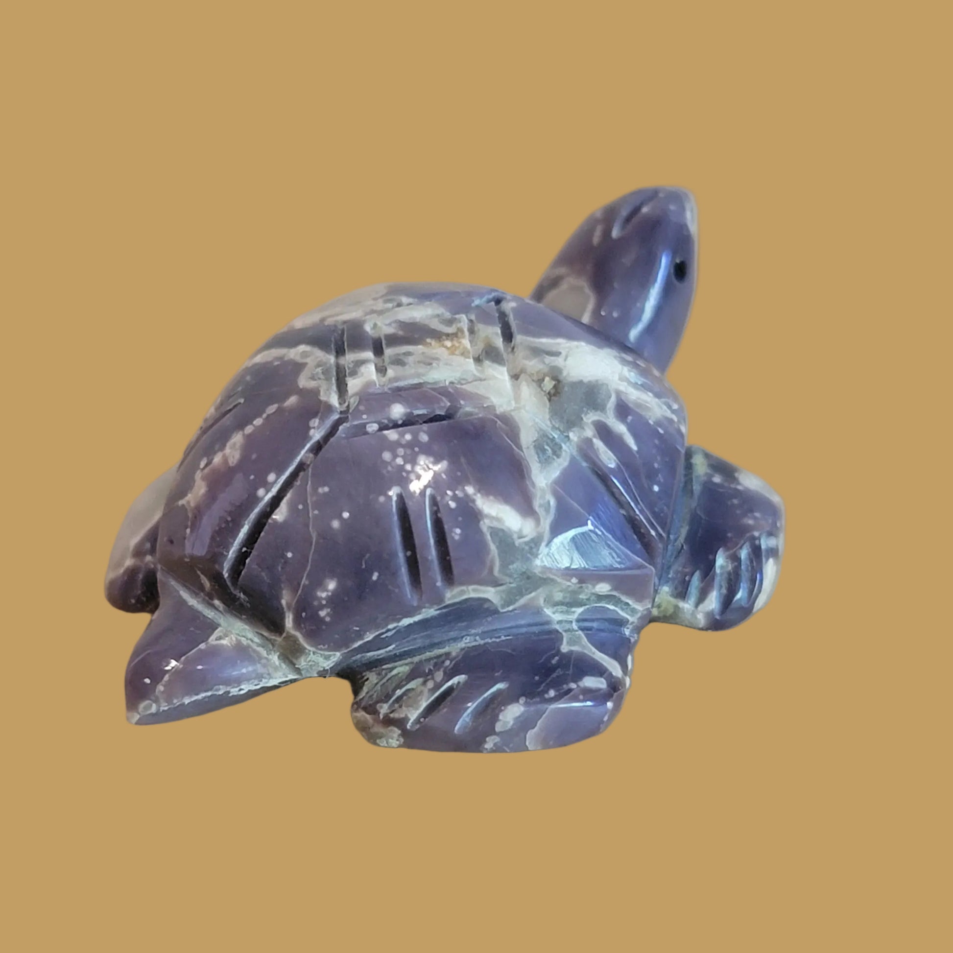 Violite Navajo Turtle Zuni Fetish
