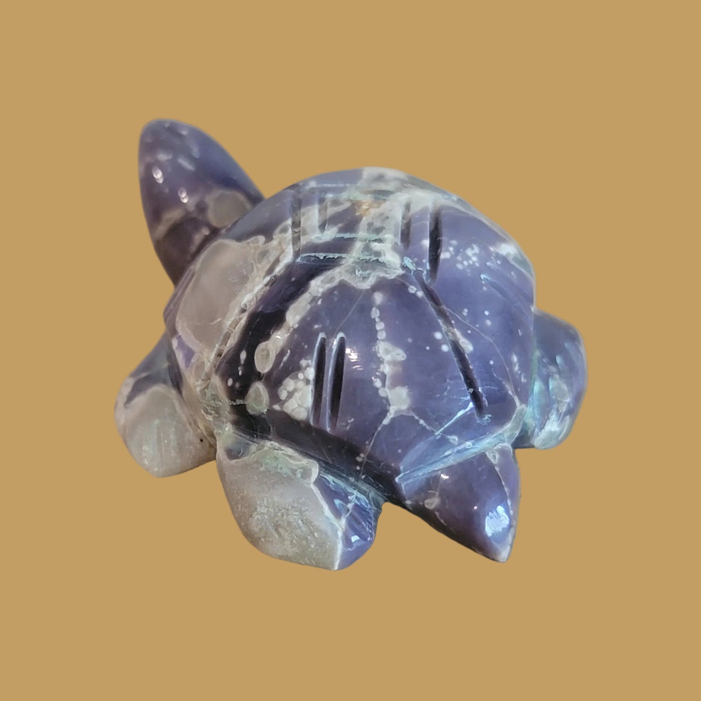 Violite Navajo Turtle Zuni Fetish
