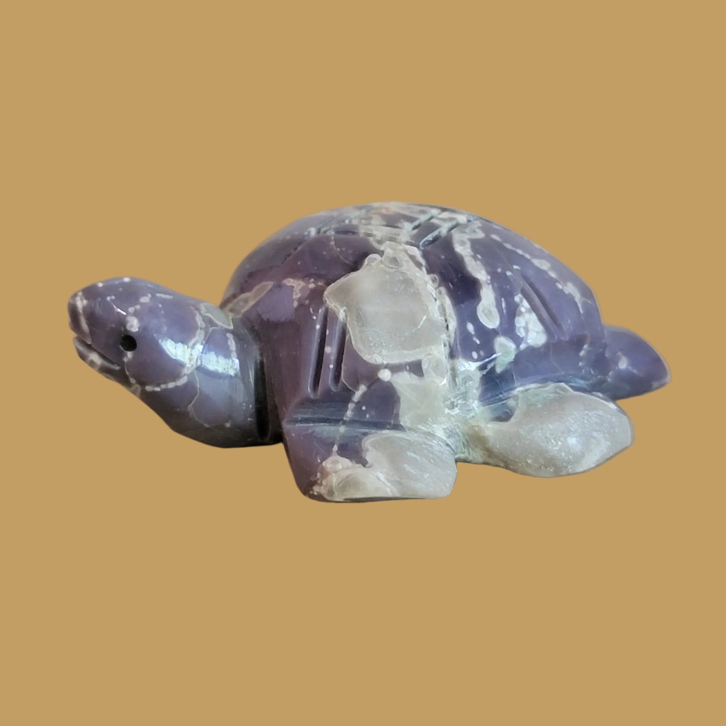 Violite Navajo Turtle Zuni Fetish