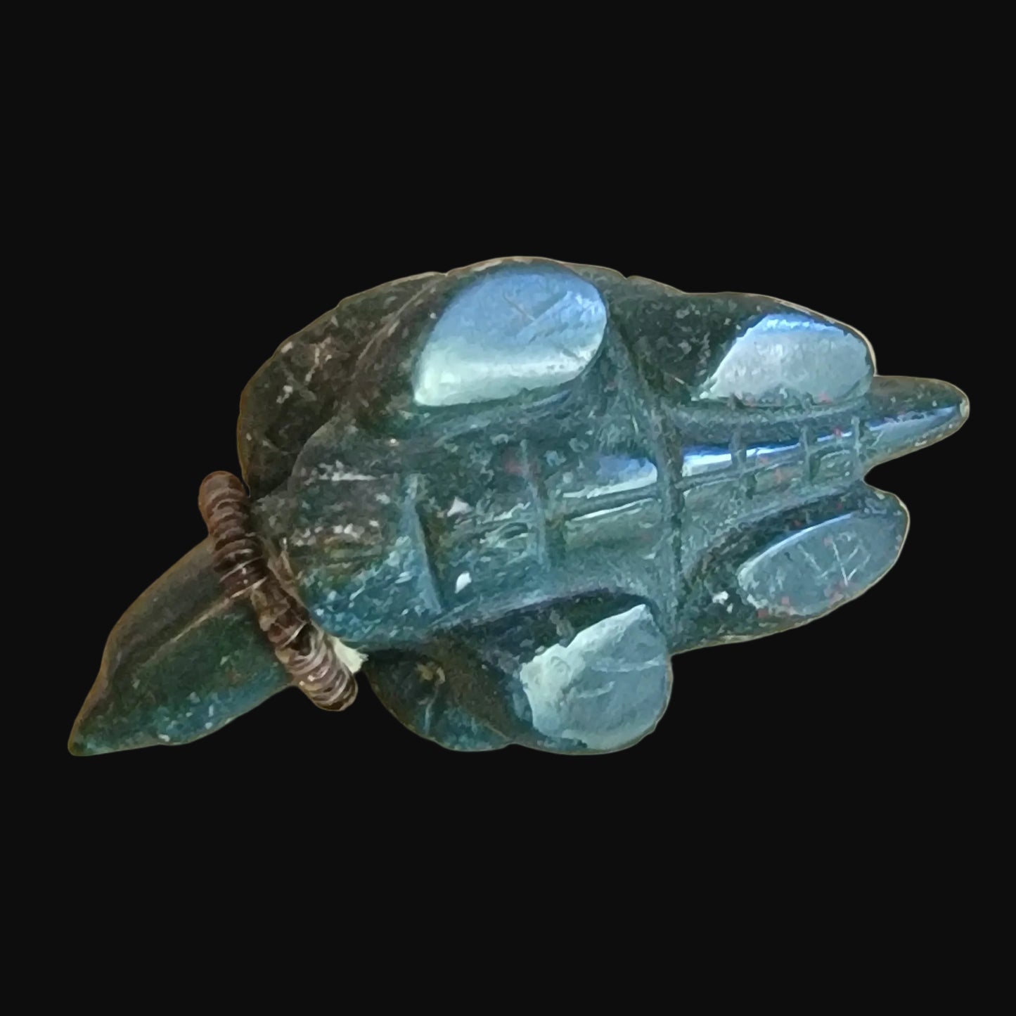 Amazing and Realistic looking Sea Tortoise w/Coral and Sterling Necklace Zuni Fetish
