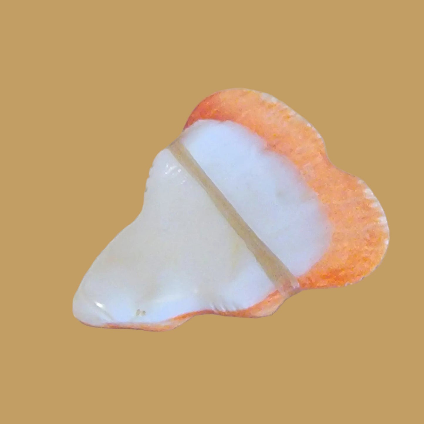 Orange Spiny Oyster Shell Frog Zuni Fetish
