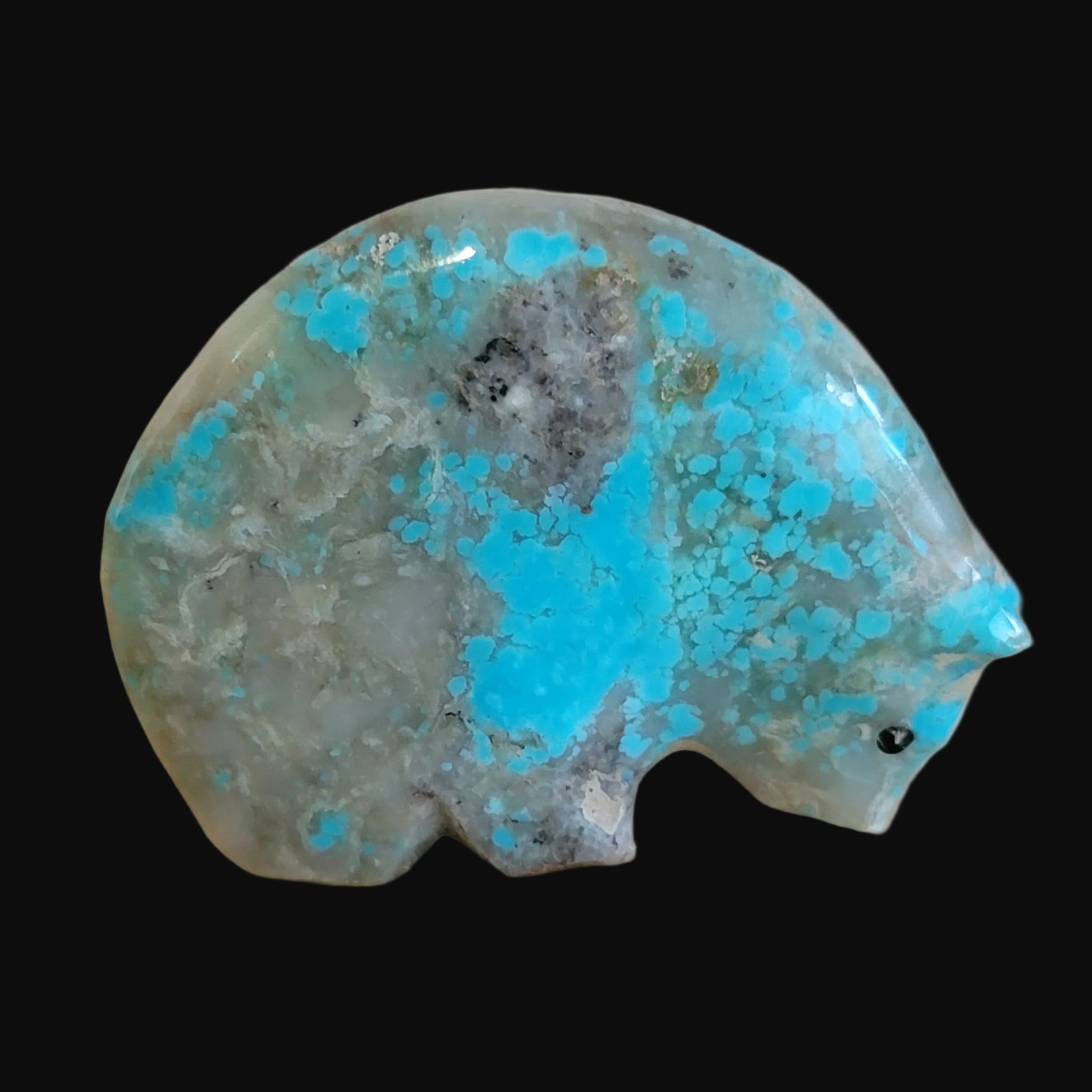 Classy Turquoise Medicine Bear w/ Coral Heartline Zuni Fetish