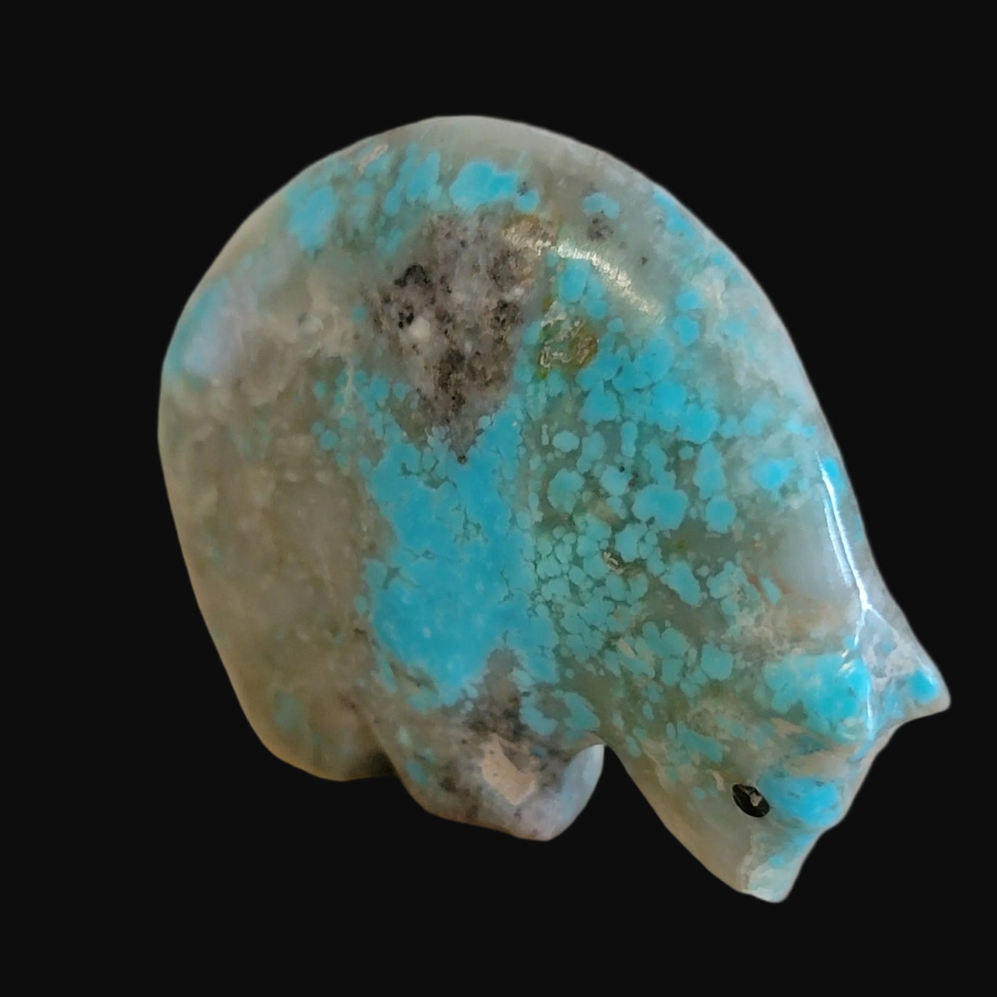 Classy Turquoise Medicine Bear w/ Coral Heartline Zuni Fetish