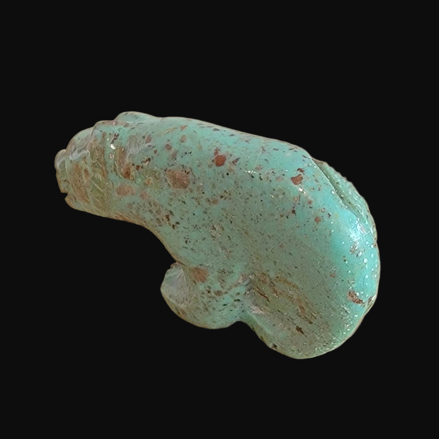 Turquoise Bear/Maiden Zuni Fetish