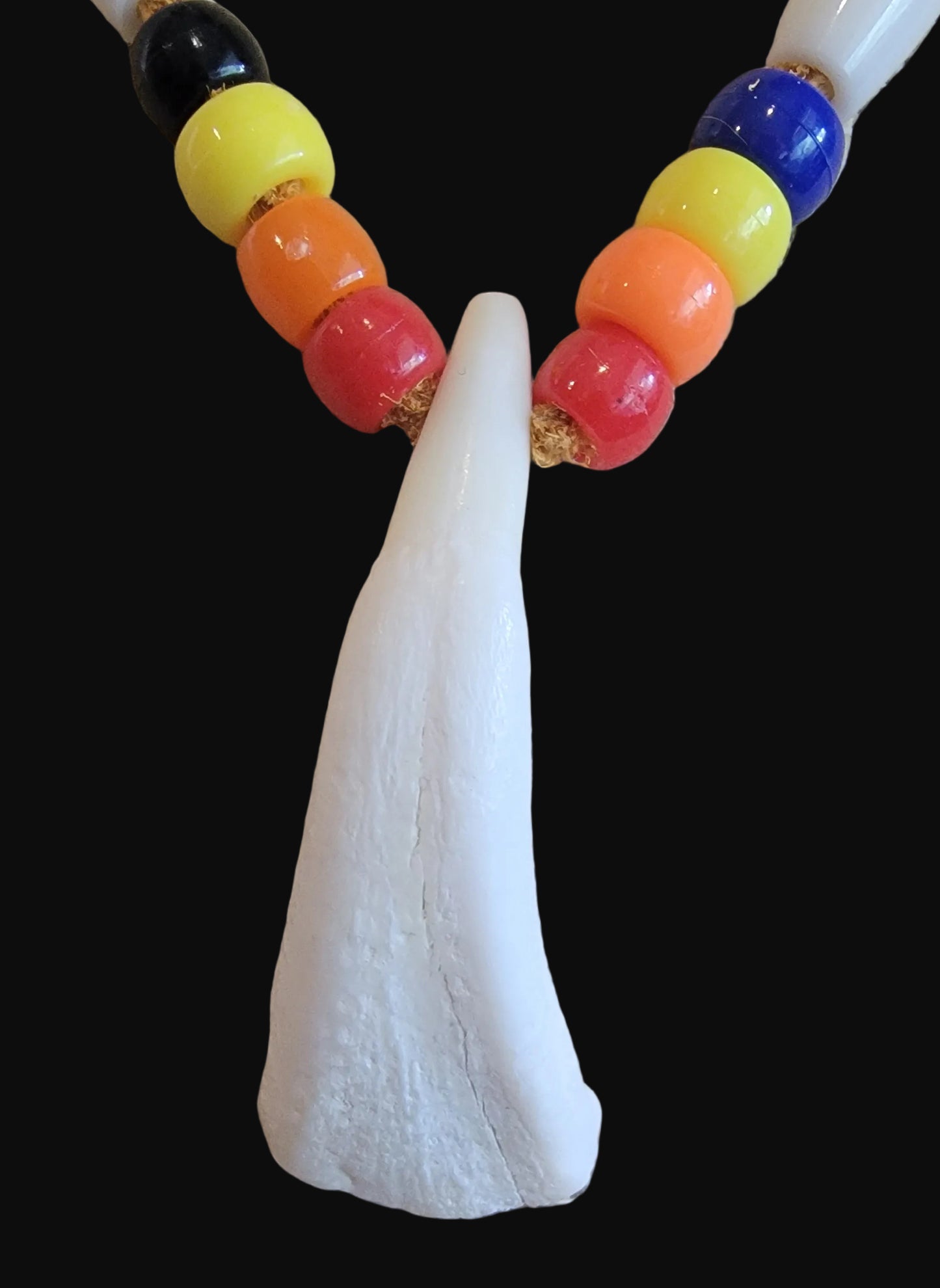 Bison Tooth/Crow Beads Shoshone Necklace Infian Jewelry