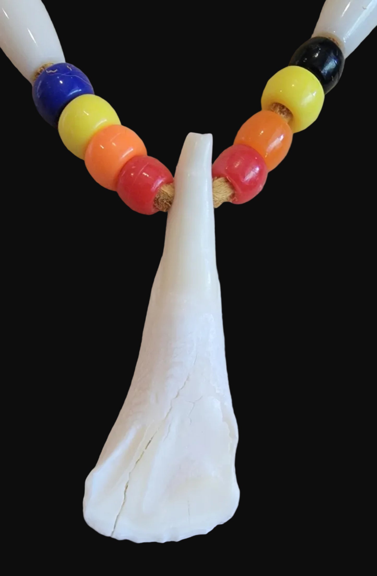 Bison Tooth/Crow Beads Shoshone Necklace Infian Jewelry