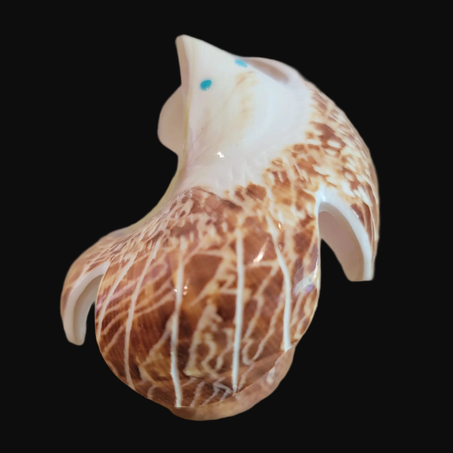 Natural Snail Shell Spread Winged Eagle Zuni Fetish