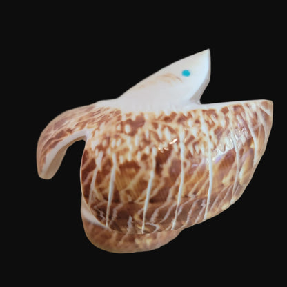 Natural Snail Shell Spread Winged Eagle Zuni Fetish