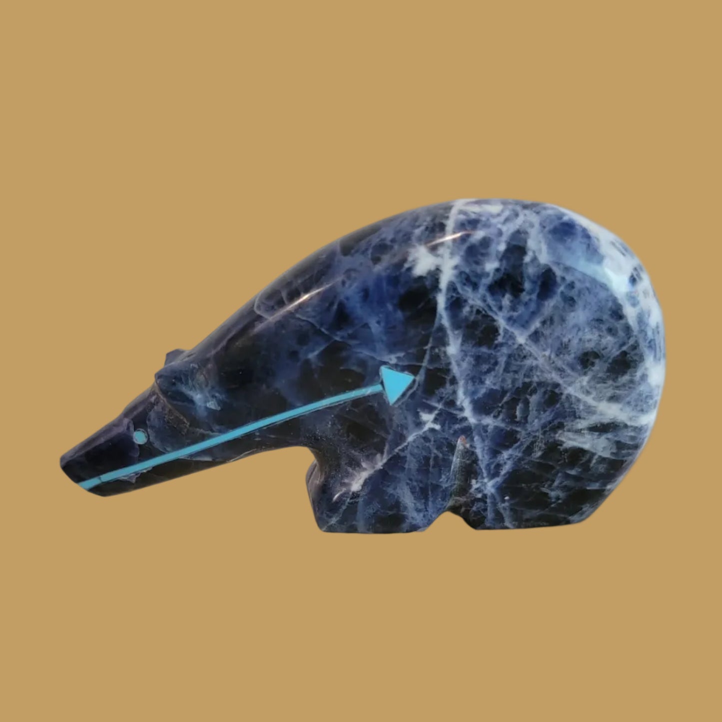 Sodalite Long Necked Medicine Bear Zuni Fetish