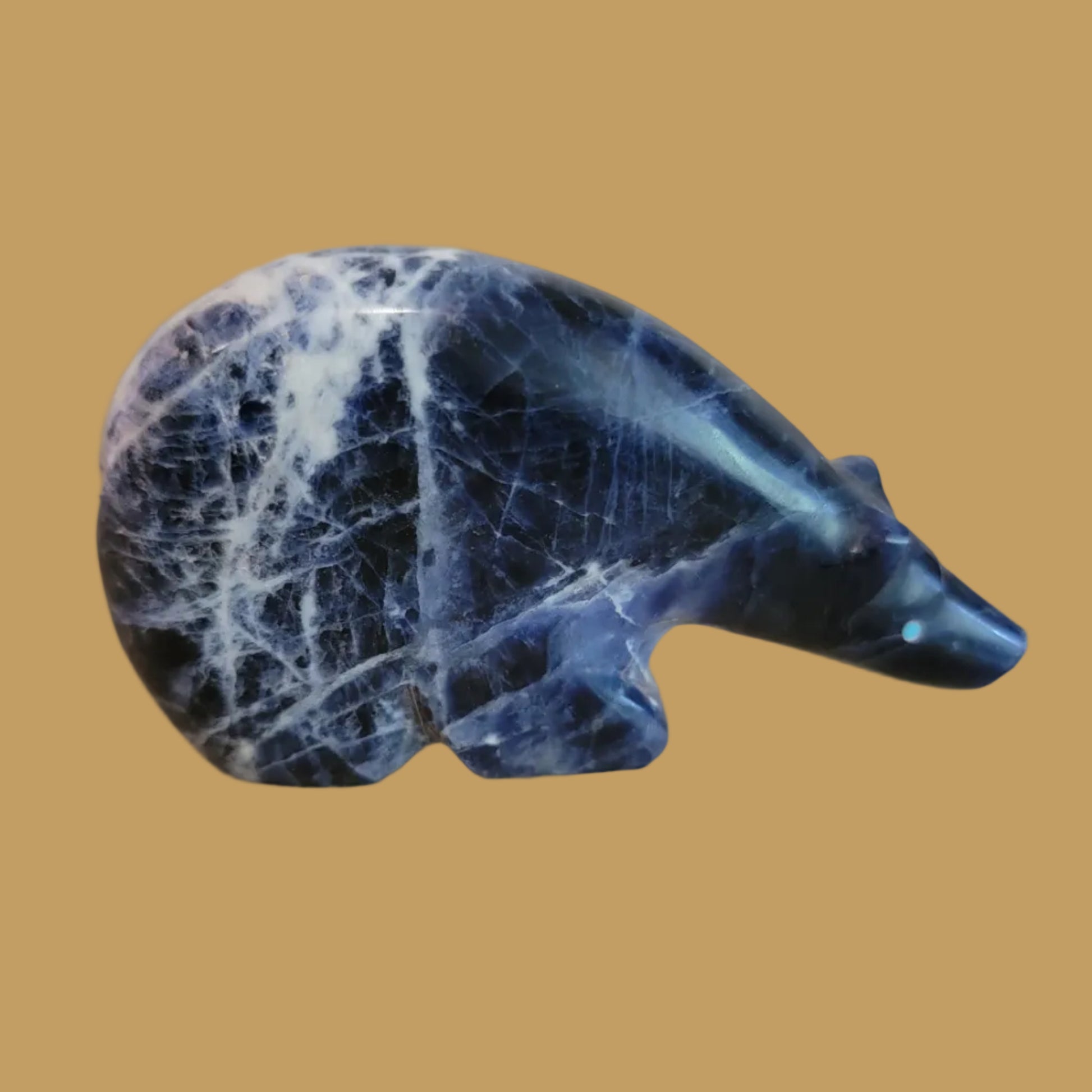 Sodalite Long Necked Medicine Bear Zuni Fetish