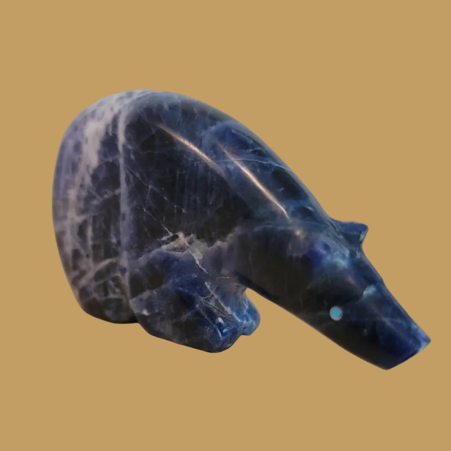 Sodalite Long Necked Medicine Bear Zuni Fetish