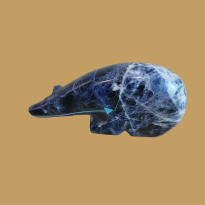 Sodalite Long Necked Medicine Bear Zuni Fetish