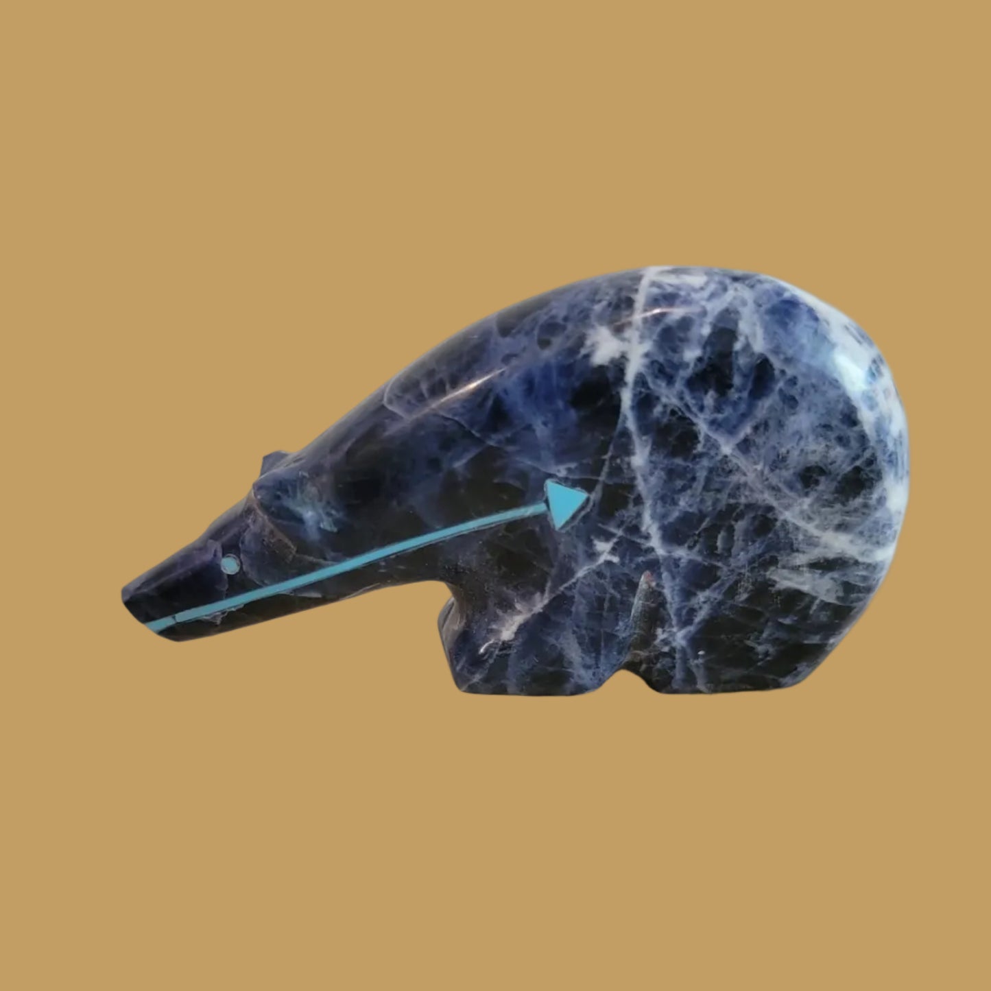 Sodalite Long Necked Medicine Bear Zuni Fetish