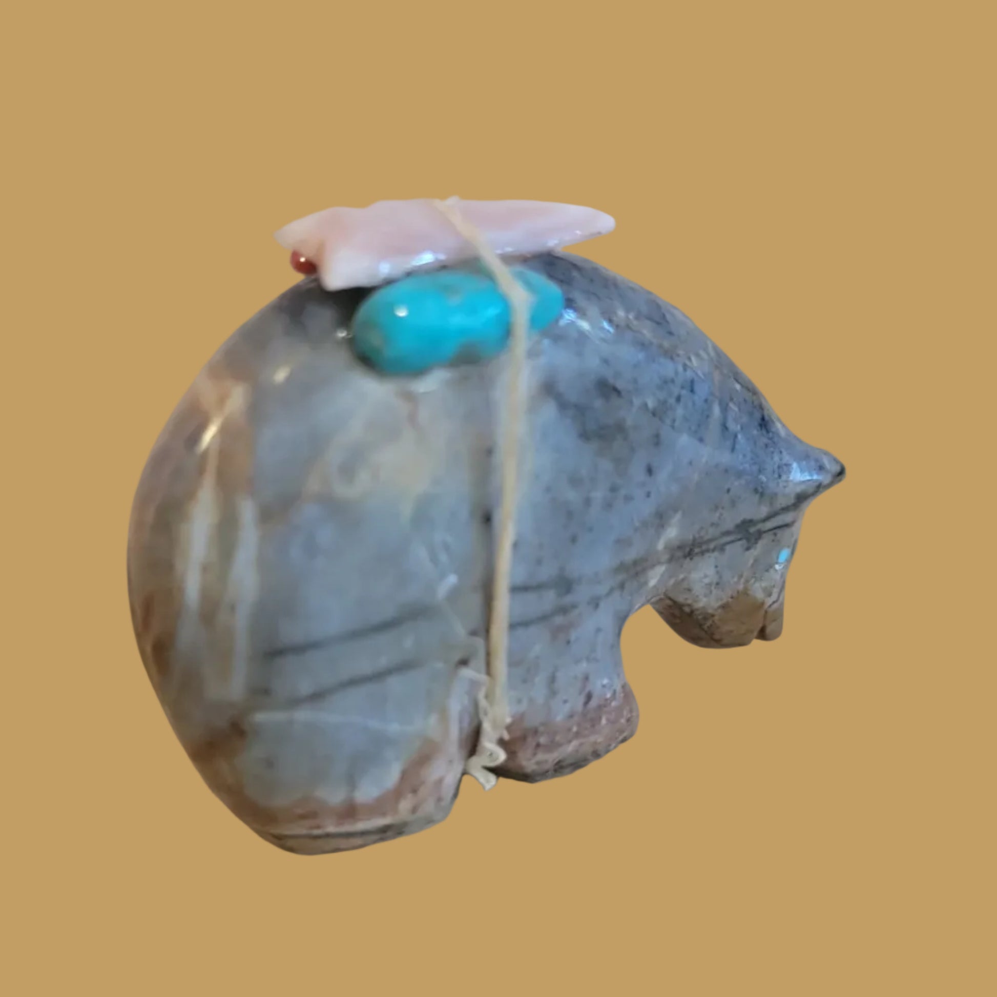 Picssso Marble Medicine Bear w/Bundle Zuni Fetish