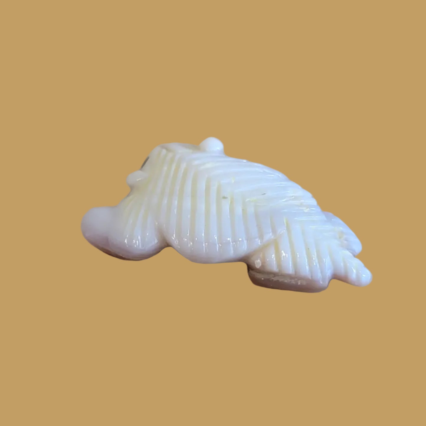 Navajo Shell Furry Badger Zuni Fetish