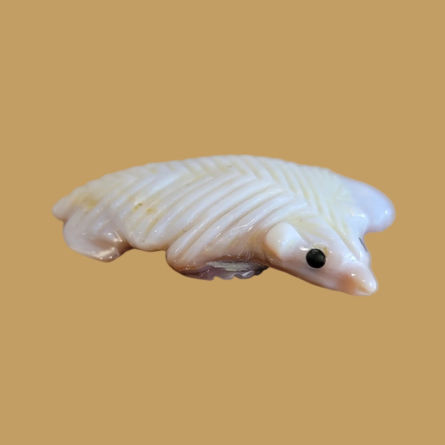 Navajo Shell Furry Badger Zuni Fetish