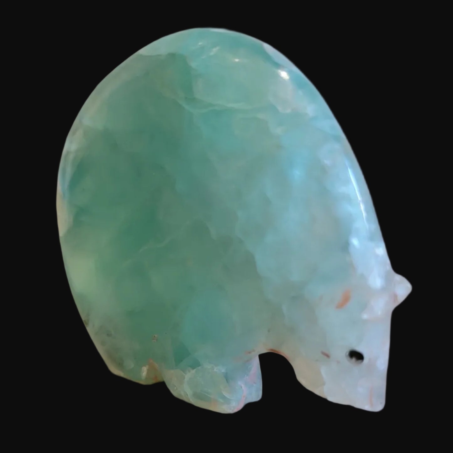Elegant Fluorite Medicine Bear w/ Coral Heartline Zuni Fetish